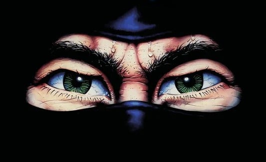Evercade December releases reportedly include Last Ninja and James Pond collections